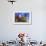 Afredo Kraus Auditorium, Las Palmas City, Gran Canaria Island, Canary Islands, Spain, Europe-Richard Cummins-Framed Photographic Print displayed on a wall