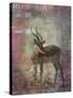 Africa Antelope-Greg Simanson-Stretched Canvas