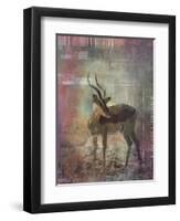 Africa Antelope-Greg Simanson-Framed Premium Giclee Print