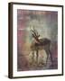 Africa Antelope-Greg Simanson-Framed Giclee Print