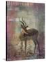 Africa Antelope-Greg Simanson-Stretched Canvas