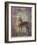 Africa Antelope-Greg Simanson-Framed Giclee Print