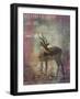 Africa Antelope-Greg Simanson-Framed Giclee Print