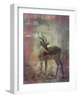 Africa Antelope-Greg Simanson-Framed Giclee Print