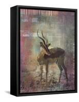 Africa Antelope-Greg Simanson-Framed Stretched Canvas