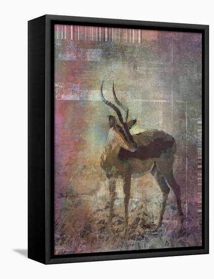 Africa Antelope-Greg Simanson-Framed Stretched Canvas