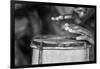 Africa, Benin, Porto Novo, Ajara. A drum player-Catherina Unger-Framed Photographic Print