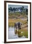 Africa, Botswana, Chobe National Park. Adult Elephants at Water Hole-Jaynes Gallery-Framed Premium Photographic Print