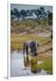 Africa, Botswana, Chobe National Park. Adult Elephants at Water Hole-Jaynes Gallery-Framed Photographic Print
