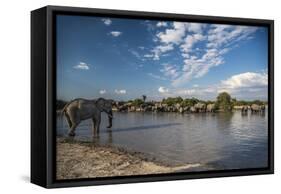 Africa, Botswana, Chobe National Park. Elephant herd in water.-Jaynes Gallery-Framed Stretched Canvas