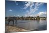 Africa, Botswana, Chobe National Park. Elephant herd in water.-Jaynes Gallery-Mounted Photographic Print