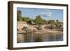 Africa, Botswana, Chobe National Park. Elephants moving to water.-Jaynes Gallery-Framed Photographic Print