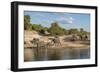 Africa, Botswana, Chobe National Park. Elephants moving to water.-Jaynes Gallery-Framed Photographic Print