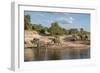 Africa, Botswana, Chobe National Park. Elephants moving to water.-Jaynes Gallery-Framed Photographic Print