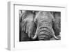 Africa, Botswana, okavango delta. A portrait of an elephant-Catherina Unger-Framed Photographic Print