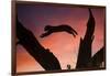 Africa, Botswana, Savuti Game Reserve. Leopard Leaping from Branch to Branch at Sunset-Jaynes Gallery-Framed Photographic Print