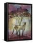 Africa Cheetah-Greg Simanson-Framed Stretched Canvas