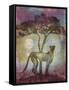 Africa Cheetah-Greg Simanson-Framed Stretched Canvas