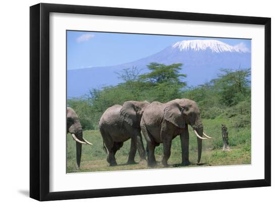 Photographic Print, , large