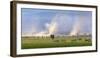 Africa elephant, wildebeests and plains zebras, Amboseli National Park, Kenya-Art Wolfe-Framed Photographic Print