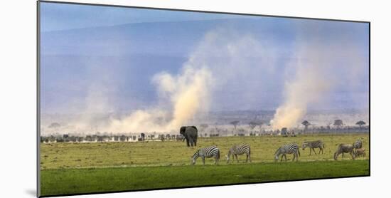 Africa elephant, wildebeests and plains zebras, Amboseli National Park, Kenya-Art Wolfe-Mounted Photographic Print