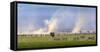 Africa elephant, wildebeests and plains zebras, Amboseli National Park, Kenya-Art Wolfe-Framed Stretched Canvas