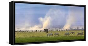 Africa elephant, wildebeests and plains zebras, Amboseli National Park, Kenya-Art Wolfe-Framed Stretched Canvas