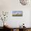 Africa elephant, wildebeests and plains zebras, Amboseli National Park, Kenya-Art Wolfe-Stretched Canvas displayed on a wall