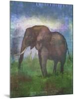 Africa Elephant-Greg Simanson-Mounted Giclee Print