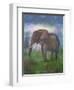 Africa Elephant-Greg Simanson-Framed Premium Giclee Print