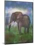 Africa Elephant-Greg Simanson-Mounted Premium Giclee Print