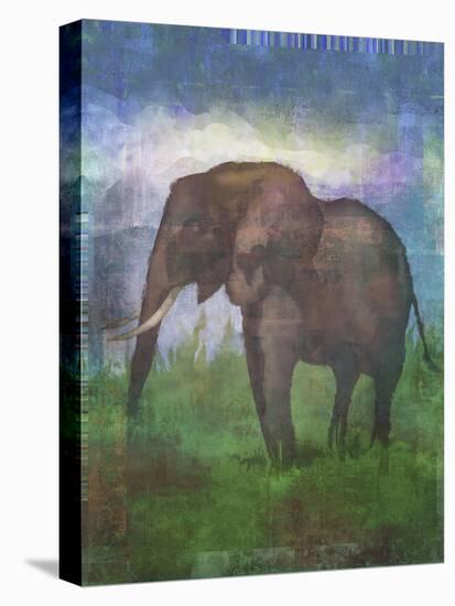Africa Elephant-Greg Simanson-Stretched Canvas