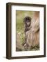 Africa, Ethiopia, Ethiopian Highlands, Western Amhara, Simien Mountains National Park-Ellen Goff-Framed Photographic Print