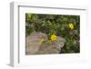 Africa, Ethiopia, Ethiopian Highlands, Western Amhara-Ellen Goff-Framed Photographic Print