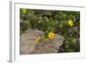 Africa, Ethiopia, Ethiopian Highlands, Western Amhara-Ellen Goff-Framed Photographic Print