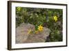 Africa, Ethiopia, Ethiopian Highlands, Western Amhara-Ellen Goff-Framed Photographic Print