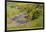 Africa, Ethiopia, Ethiopian Highlands, Western Amhara-Ellen Goff-Framed Photographic Print