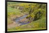 Africa, Ethiopia, Ethiopian Highlands, Western Amhara-Ellen Goff-Framed Premium Photographic Print