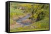 Africa, Ethiopia, Ethiopian Highlands, Western Amhara-Ellen Goff-Framed Stretched Canvas