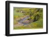 Africa, Ethiopia, Ethiopian Highlands, Western Amhara-Ellen Goff-Framed Photographic Print