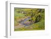 Africa, Ethiopia, Ethiopian Highlands, Western Amhara-Ellen Goff-Framed Photographic Print