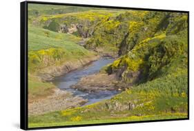 Africa, Ethiopia, Ethiopian Highlands, Western Amhara-Ellen Goff-Framed Stretched Canvas