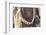 Africa, Ethiopia, South Omo, Hamer tribe. Detail of a necklace and cowrie shells.-Ellen Goff-Framed Photographic Print