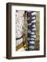 Africa, Ethiopia, Southern Omo, Karo Tribe. Detail of the body decoration on a Karo man.-Ellen Goff-Framed Photographic Print