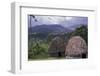 Africa, Ethiopia. Thatch huts of the Dorze tribe overlook the mountainous areas.-Janis Miglavs-Framed Photographic Print