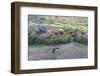 Africa, Ethiopian Highlands, Eastern Amhara, Near Lalibela. Village Near Lalibela-Ellen Goff-Framed Photographic Print