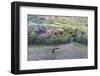 Africa, Ethiopian Highlands, Eastern Amhara, Near Lalibela. Village Near Lalibela-Ellen Goff-Framed Photographic Print