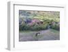 Africa, Ethiopian Highlands, Eastern Amhara, Near Lalibela. Village Near Lalibela-Ellen Goff-Framed Photographic Print