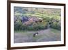 Africa, Ethiopian Highlands, Eastern Amhara, Near Lalibela. Village Near Lalibela-Ellen Goff-Framed Photographic Print