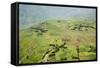 Africa, Ethiopian Highlands, Eastern Amhara, Near Lalibela-Ellen Goff-Framed Stretched Canvas